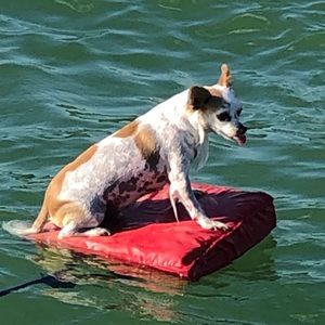 Meet your Posher, Yolanda